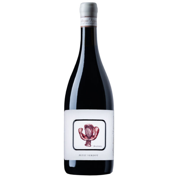 Santiago Vignoni Petit Verdot
