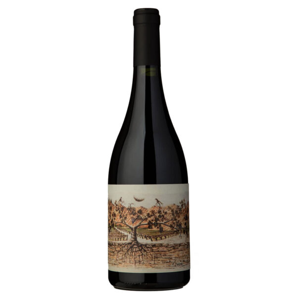 Almacén de la Quebrada Pucará Malbec