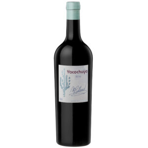 Yacochuya Malbec Doble Magnum 2018
