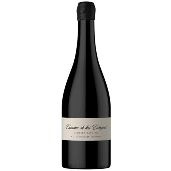 Camino de los Europeos Cabernet Franc Magnum 2022