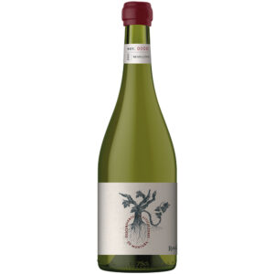 Descendientes de Viticultores de Montaña Semillón