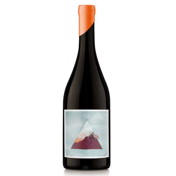 NODO Fuego | Cabernet Franc