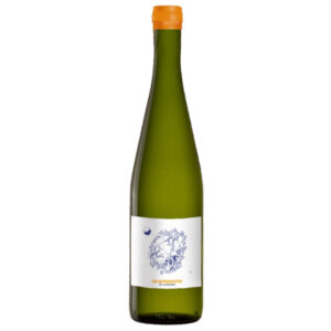 Les Astronautes P´tit Nouveau 2021