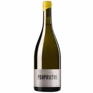 Propositos Chenin Blanc Magnum 2021