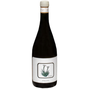 Santiago Vignoni Moscatel Blanco
