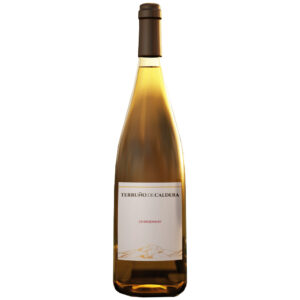 Terruño de Caldera Chardonnay