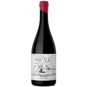 Altos Las Hormigas Visión Sur Malbec