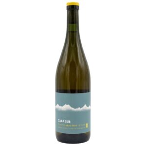 Cara Sur Blanco Bajo Velo de Flor