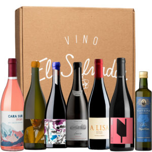 Caja del Mes - Elegidos de Guile