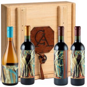 Colección Clos Abanicos Pañuelo