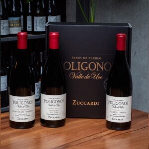 COMBO MES DEL PADRE - Colección Polígonos Malbec Valle de Uco