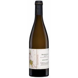 DOMAINE DE CASSIOPÉE Bourgogne Aligoté ‘Mitancherie’