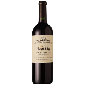 Baettig Los Padrinos Cabernet Sauvignon 2023