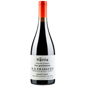 Baettig Los Parientes Pinot Noir DO Traiguén 2023